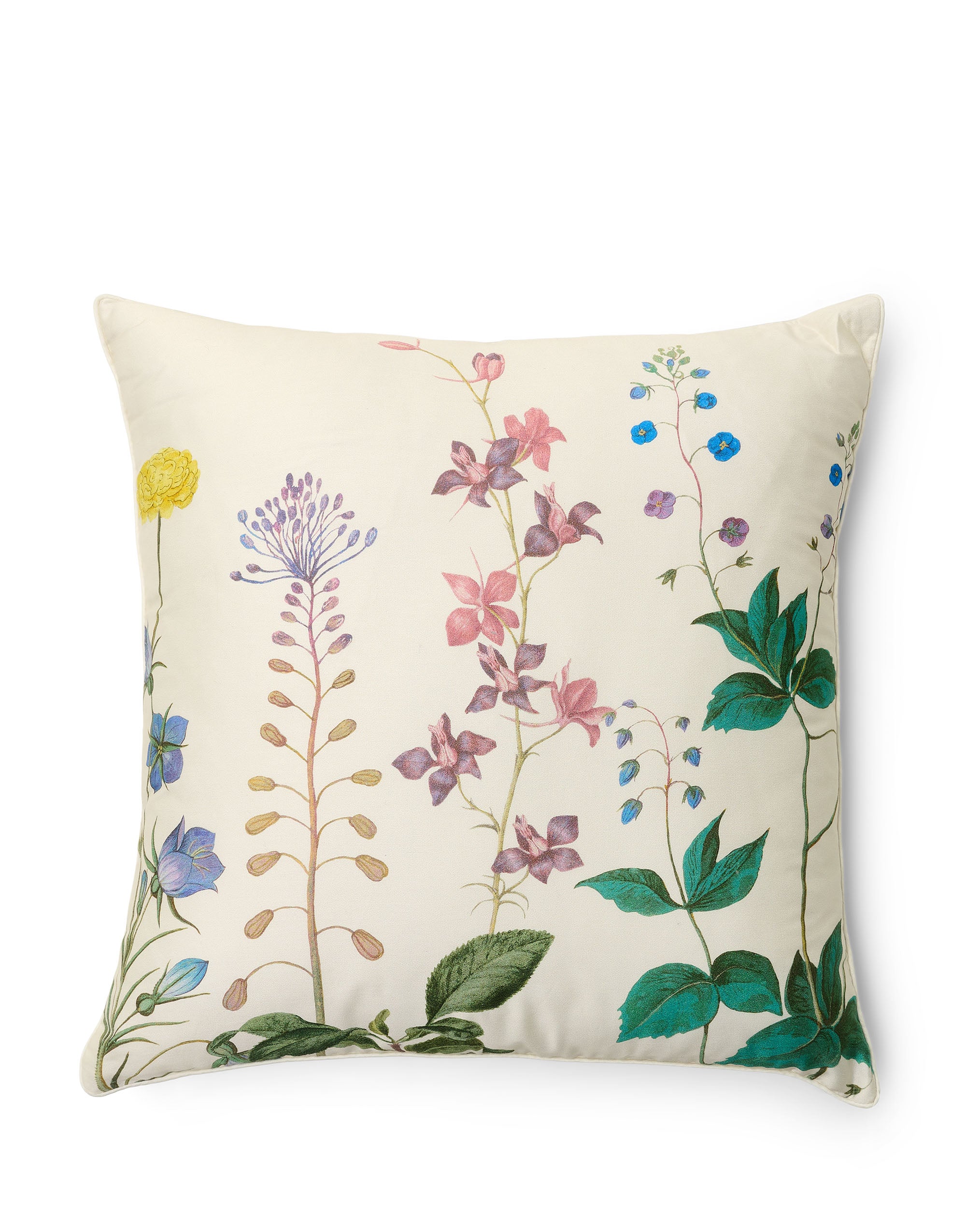 Augustina Sierkussen - 50x50