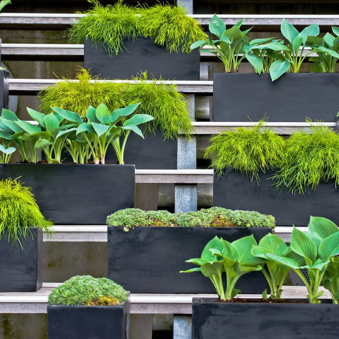 Balcony S, Zwart