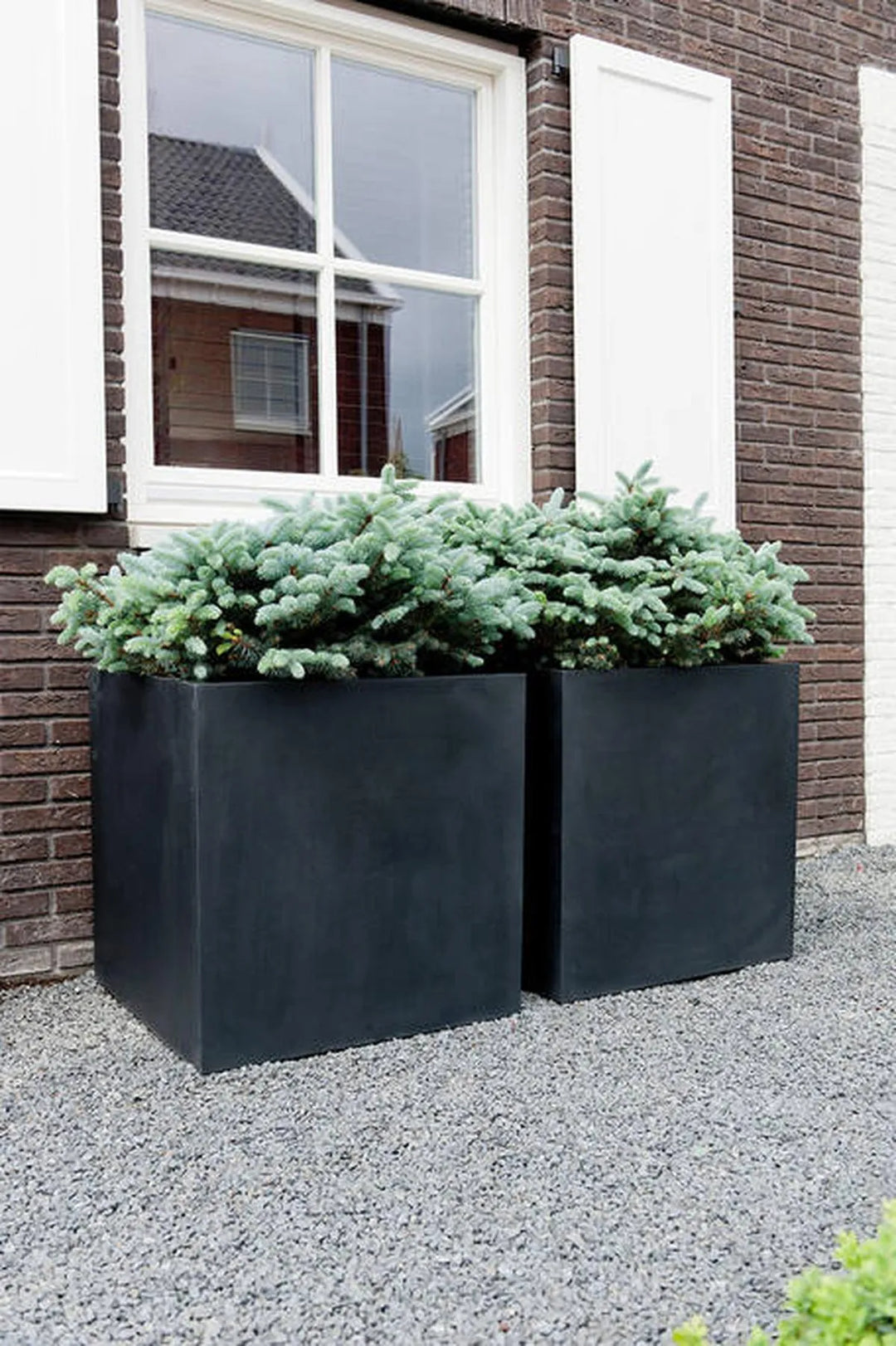 Block S, Zwart