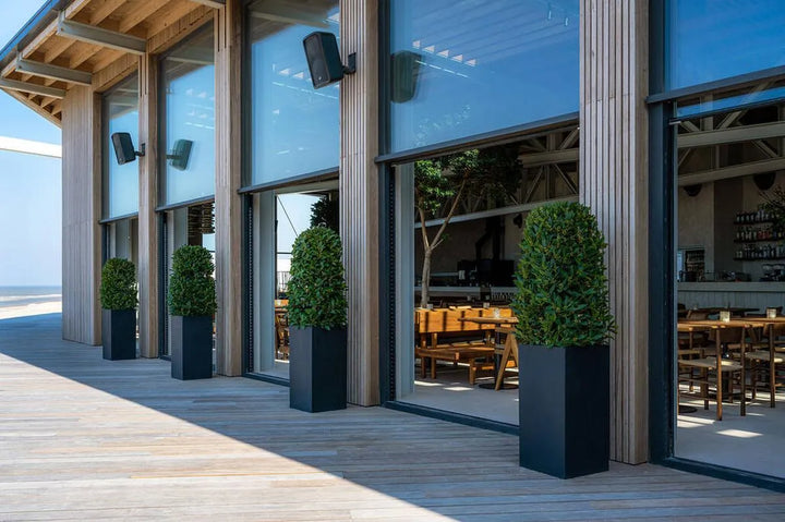 Bouvy XXL, Zwart
