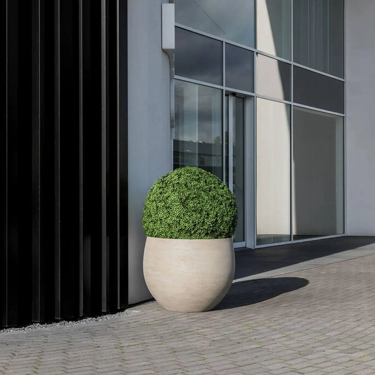 Boxwood Round M, Groen, Groen