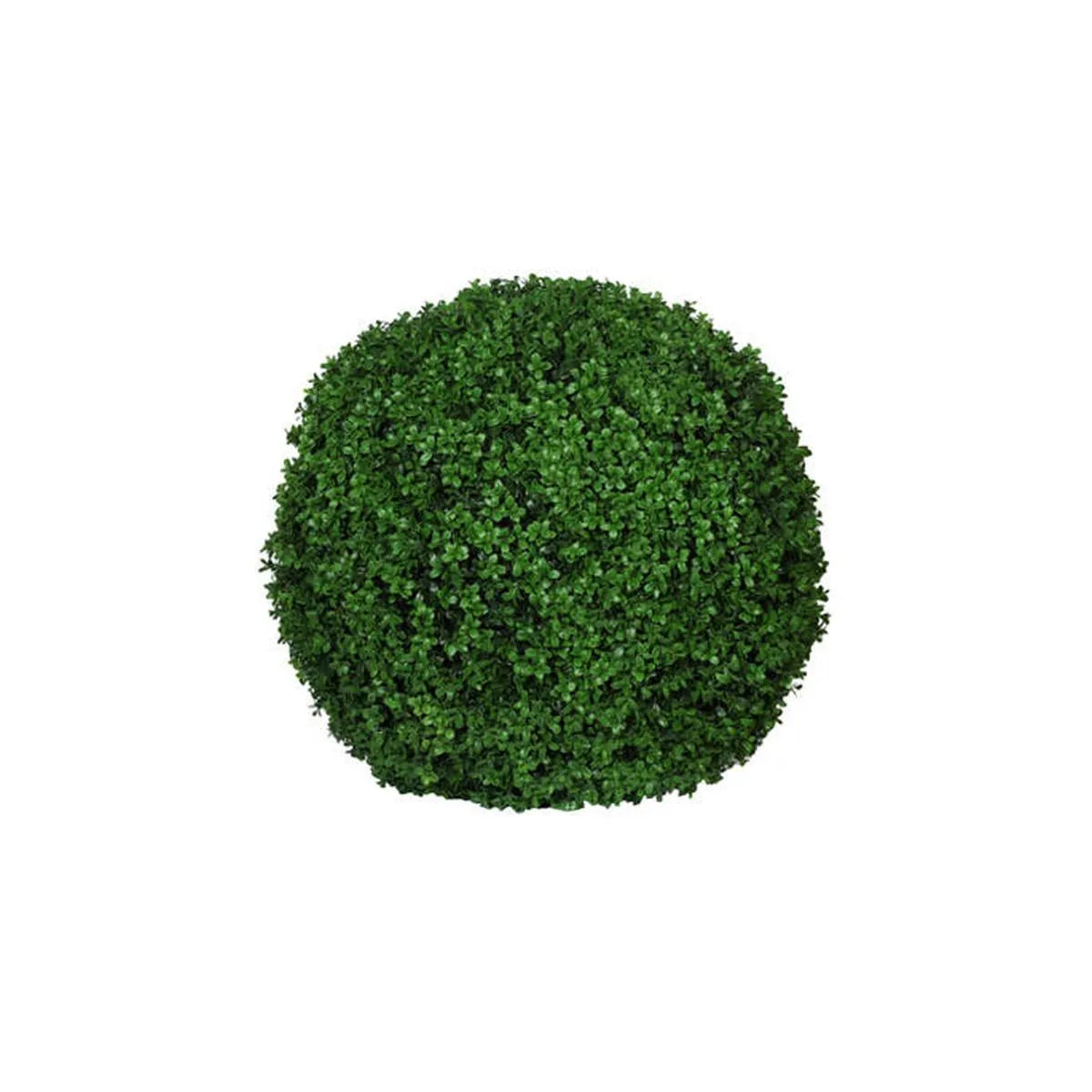 Boxwood Round M, Groen, Groen
