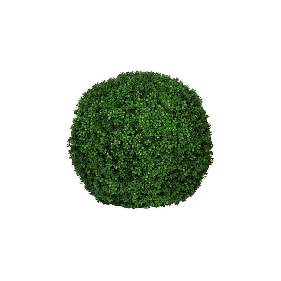 Boxwood XS, Groen
