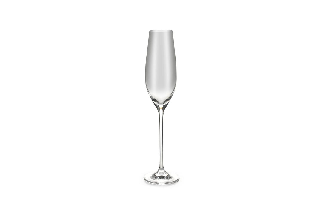 Champagneglas 21cl Cuvee - set/6