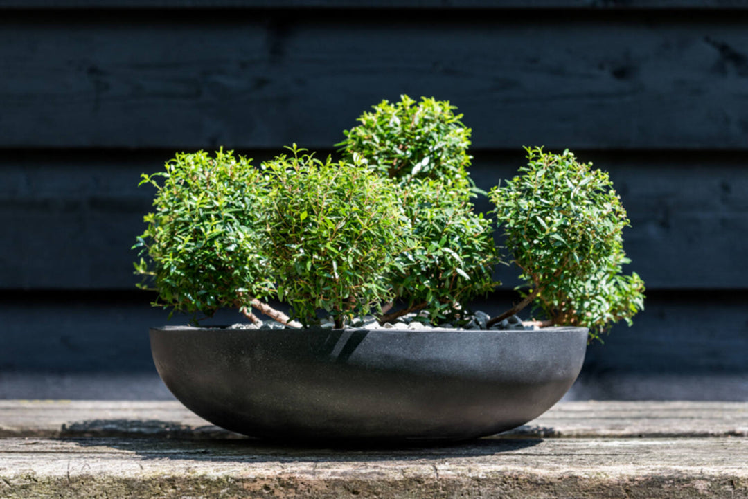 Pottery Pots - Bloempot Monique M, Zwart