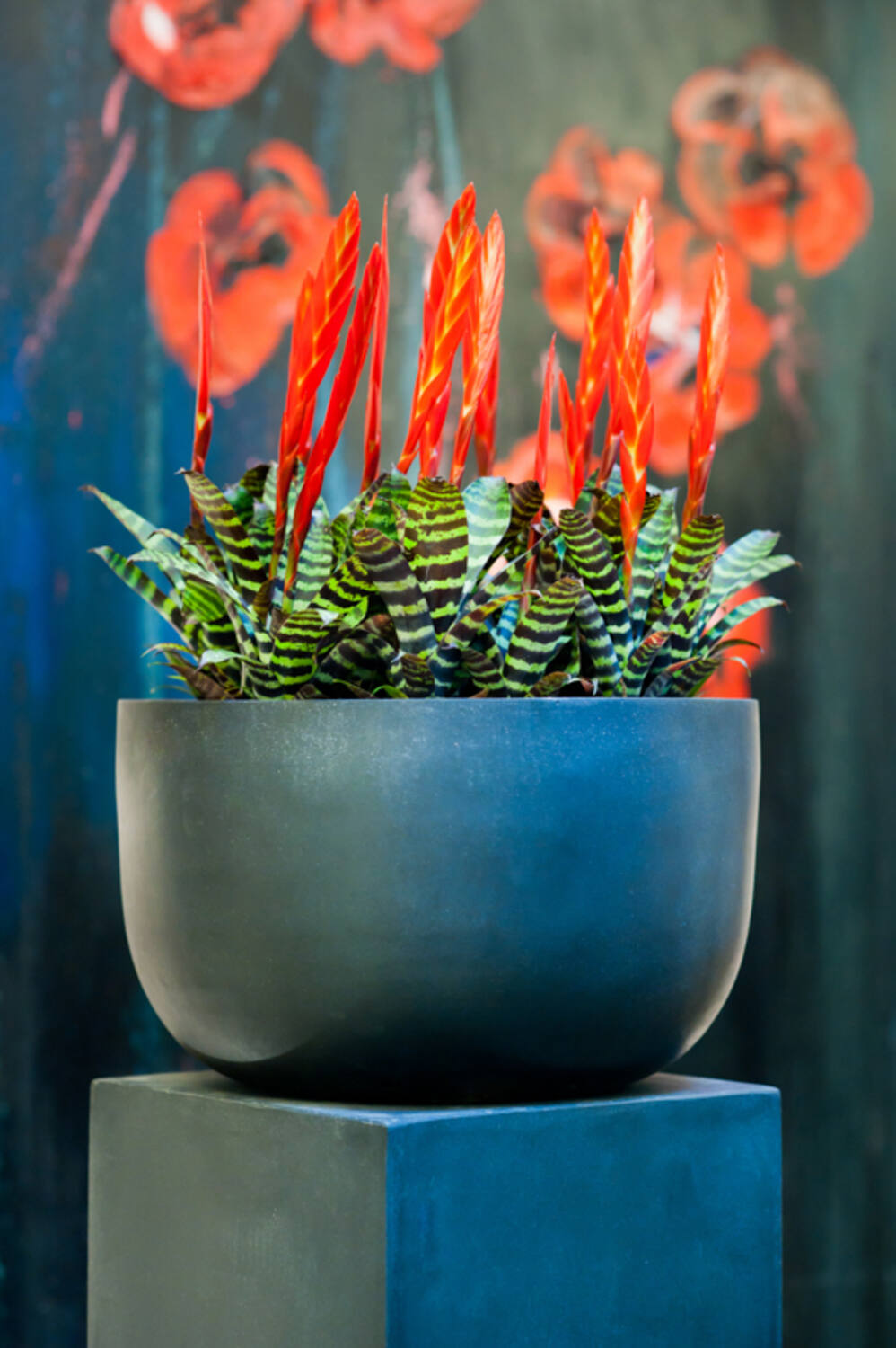 Pottery Pots - Bloempot Sunny M, Grijs