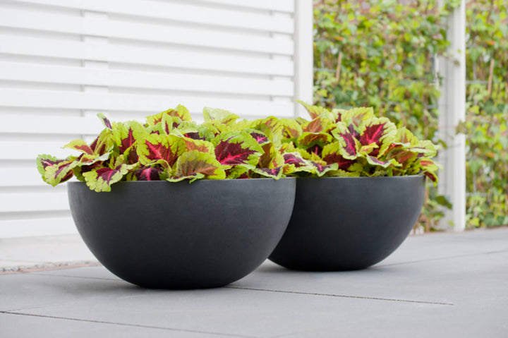 Pottery Pots - Bloempot Vic Bowl M, Grijs