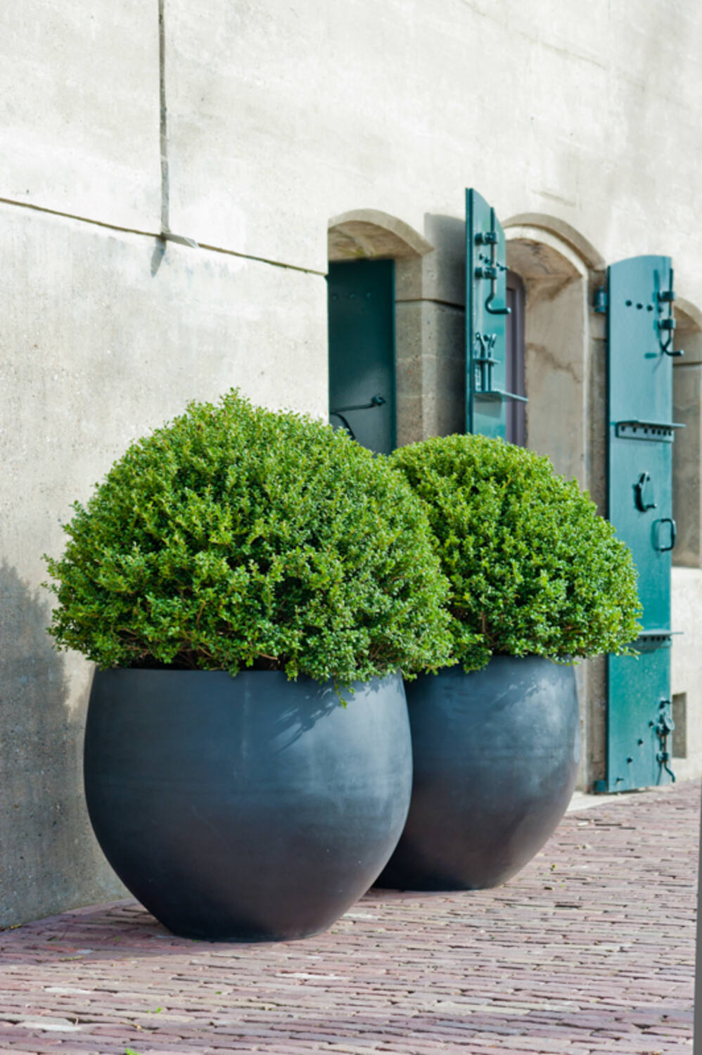 Pottery Pots - Bloempot Jumbo Orb L, Grijs