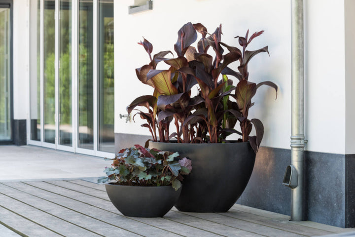 Pottery Pots - Bloempot Dorant S, Zwart