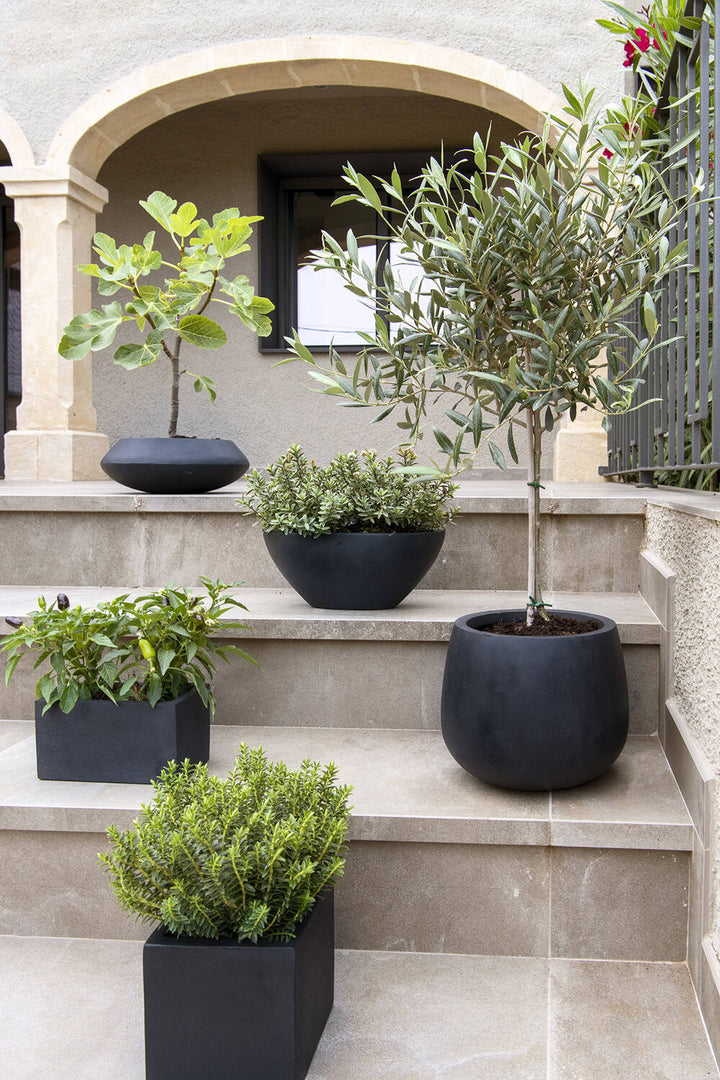 Pottery Pots - Bloempot Dorant S, Zwart