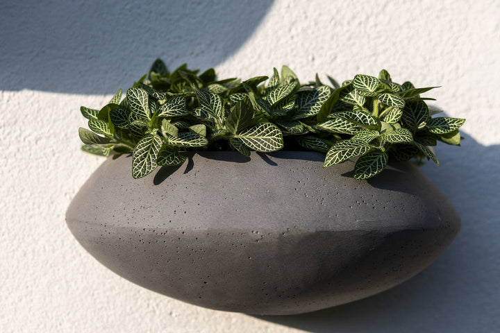 Pottery Pots - Bloempot Mini Tara Wally XS, Grijs