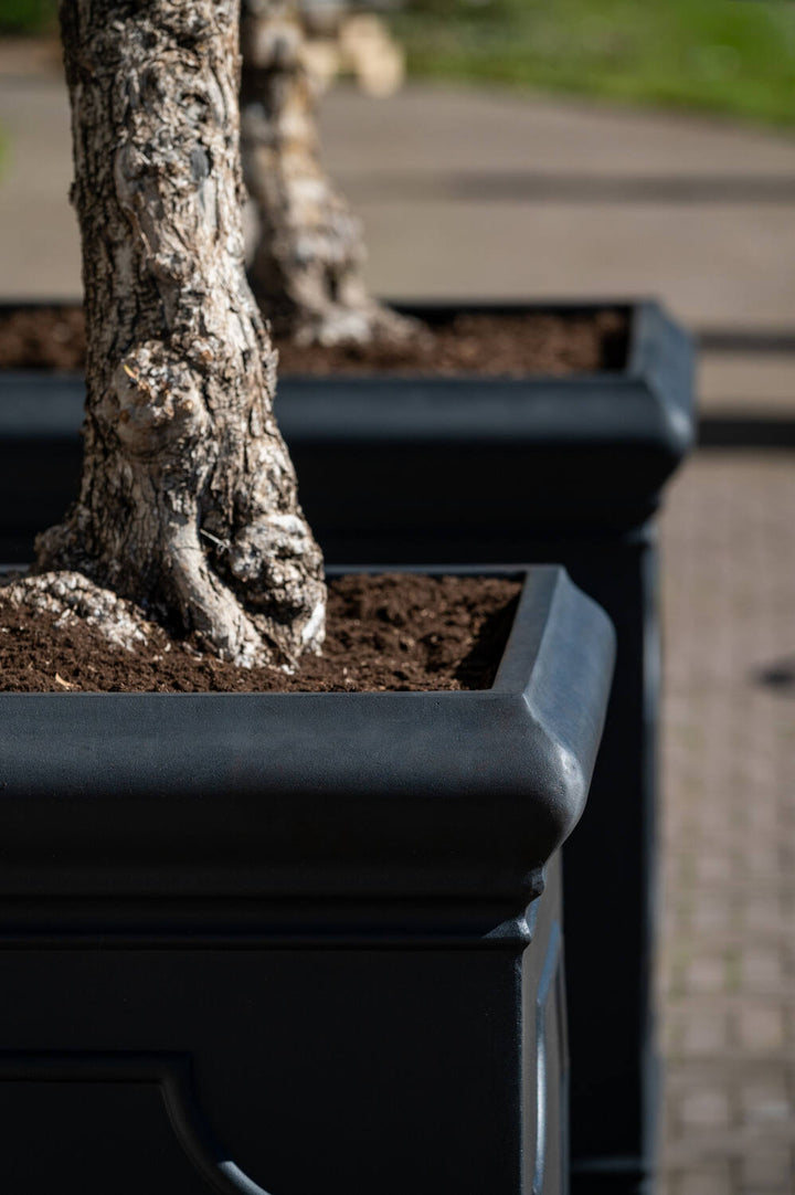Pottery Pots - Bloempot Jumbo Classic L, Zwart