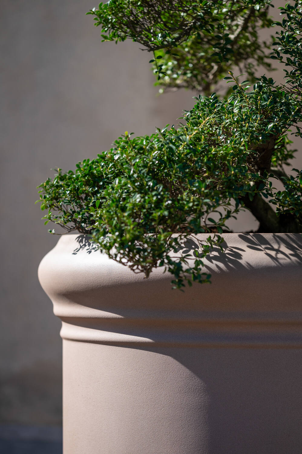 Pottery Pots - Bloempot Jumbo Max Classic L, Taupe