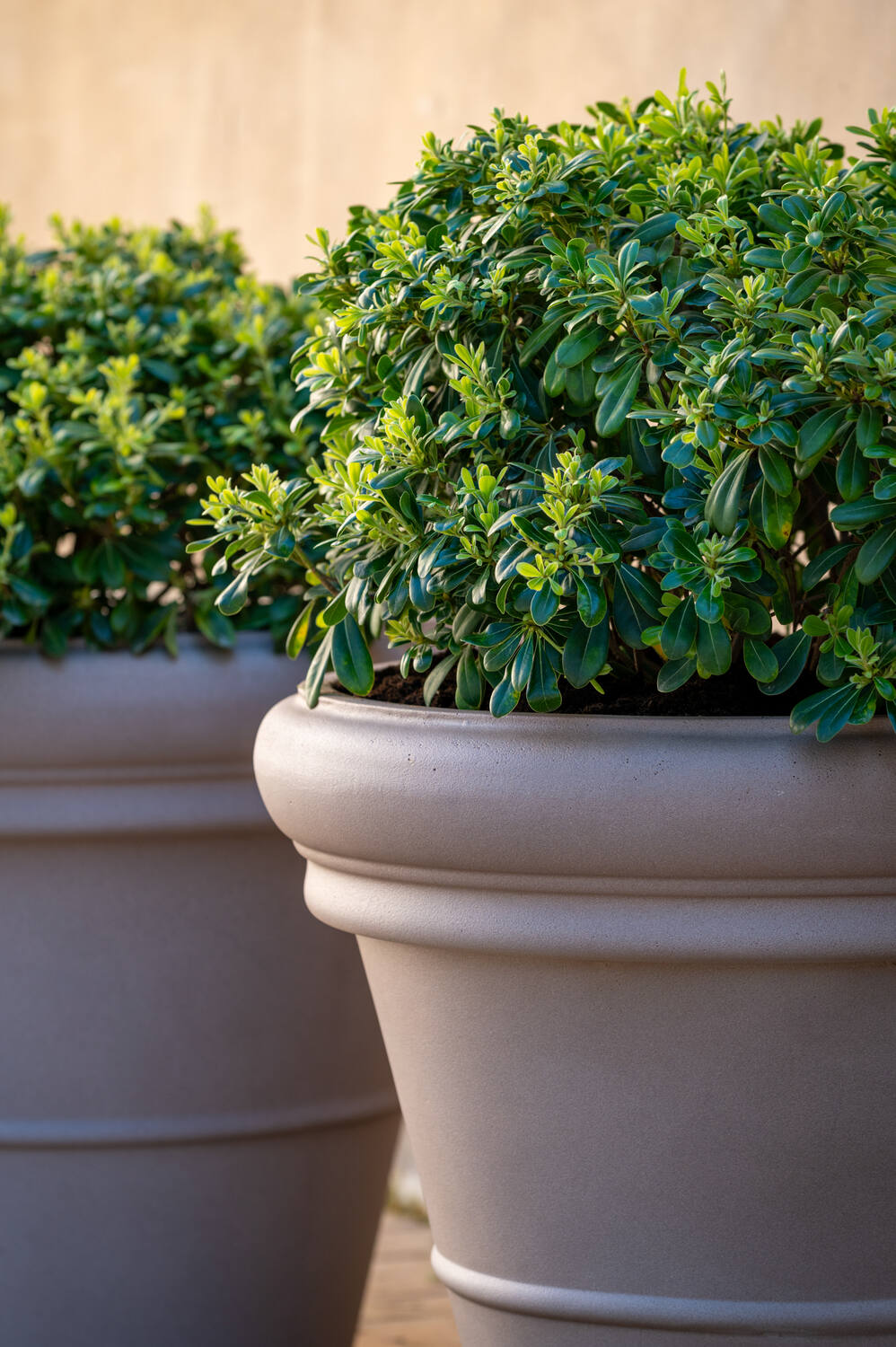 Pottery Pots - Bloempot Jumbo Bucket Low Classic L, Taupe