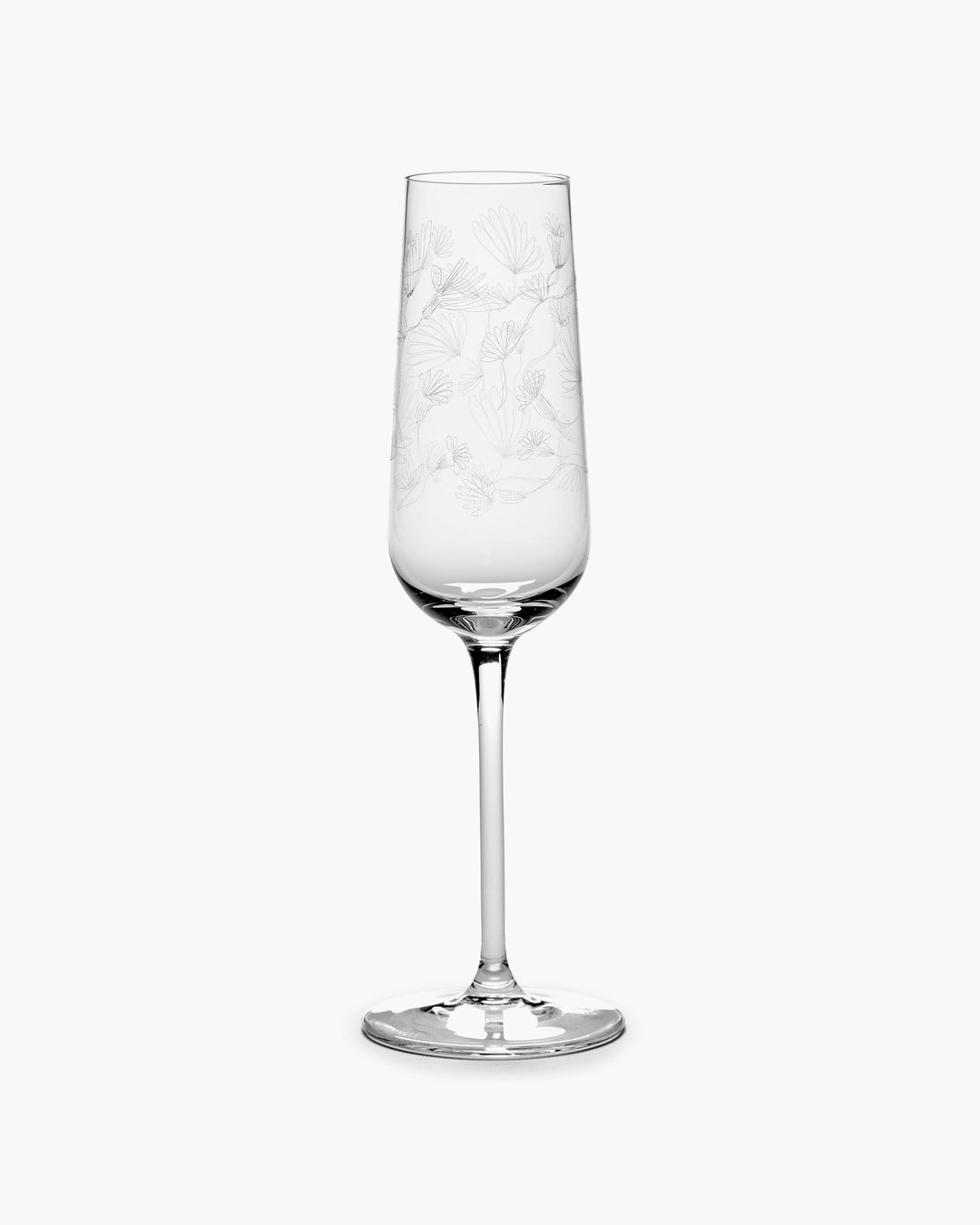 Champagneglas Camelia Aubergine Midnight Flowers - Set van 4