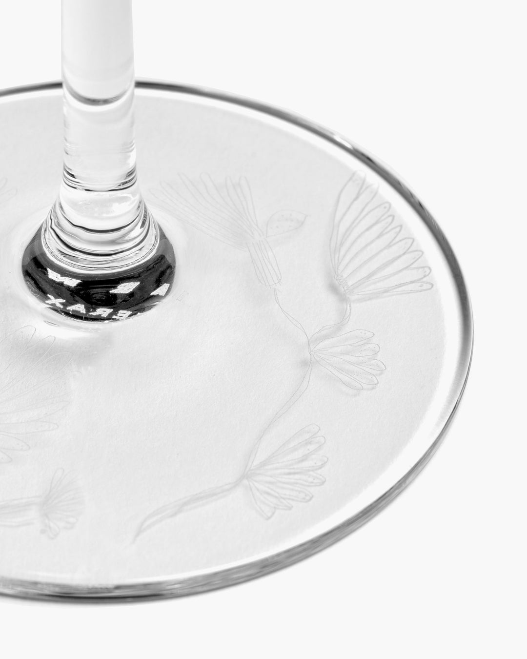 Champagneglas Camelia Aubergine Midnight Flowers - Set van 4