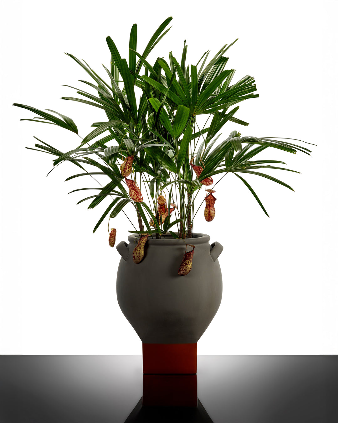 Serax - Kris Van Assche - Bloempot 08 Grijs/Oranje