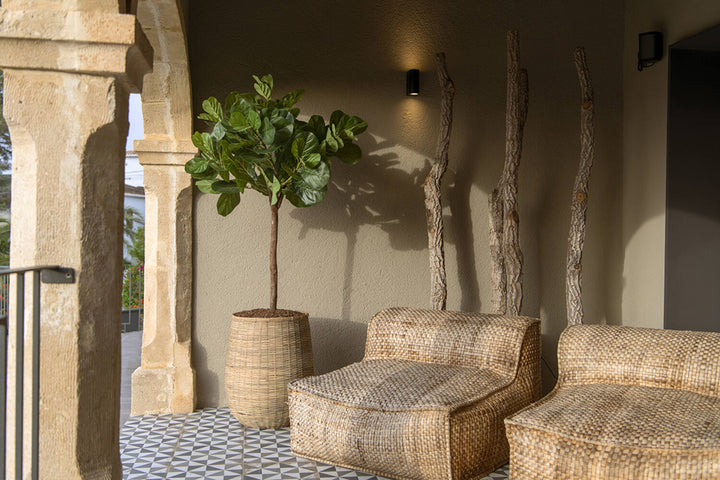 Pottery Pots - Nepplanten Ficus Lyrata XL, Groen