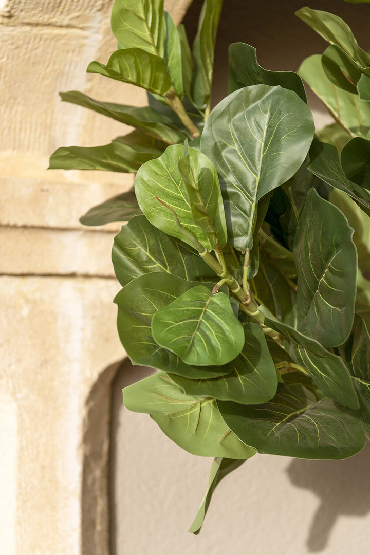 Pottery Pots - Nepplanten Ficus Lyrata XL, Groen