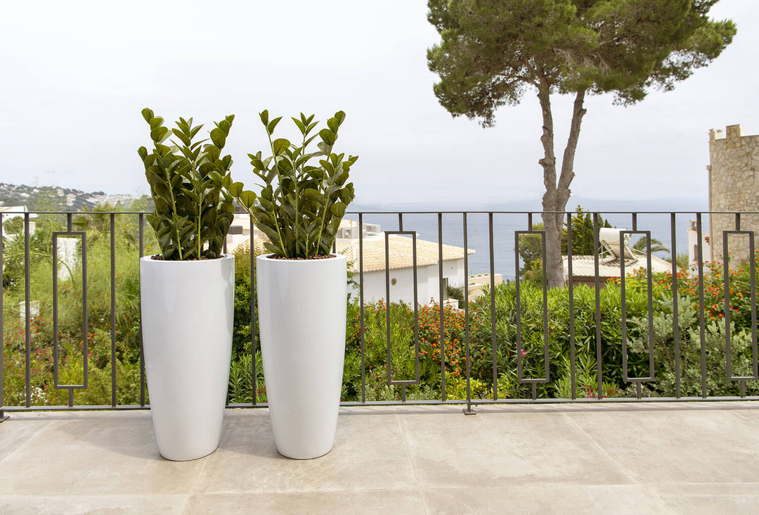Pottery Pots - Nepplanten Zamioculcas M, Groen