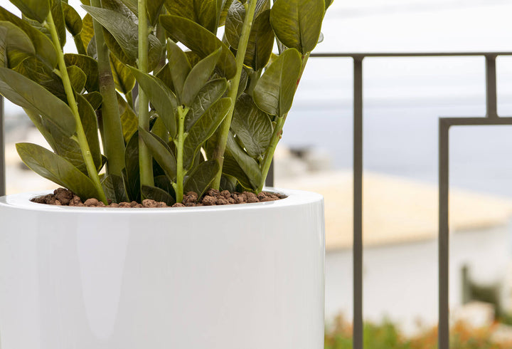 Pottery Pots - Nepplanten Zamioculcas M, Groen