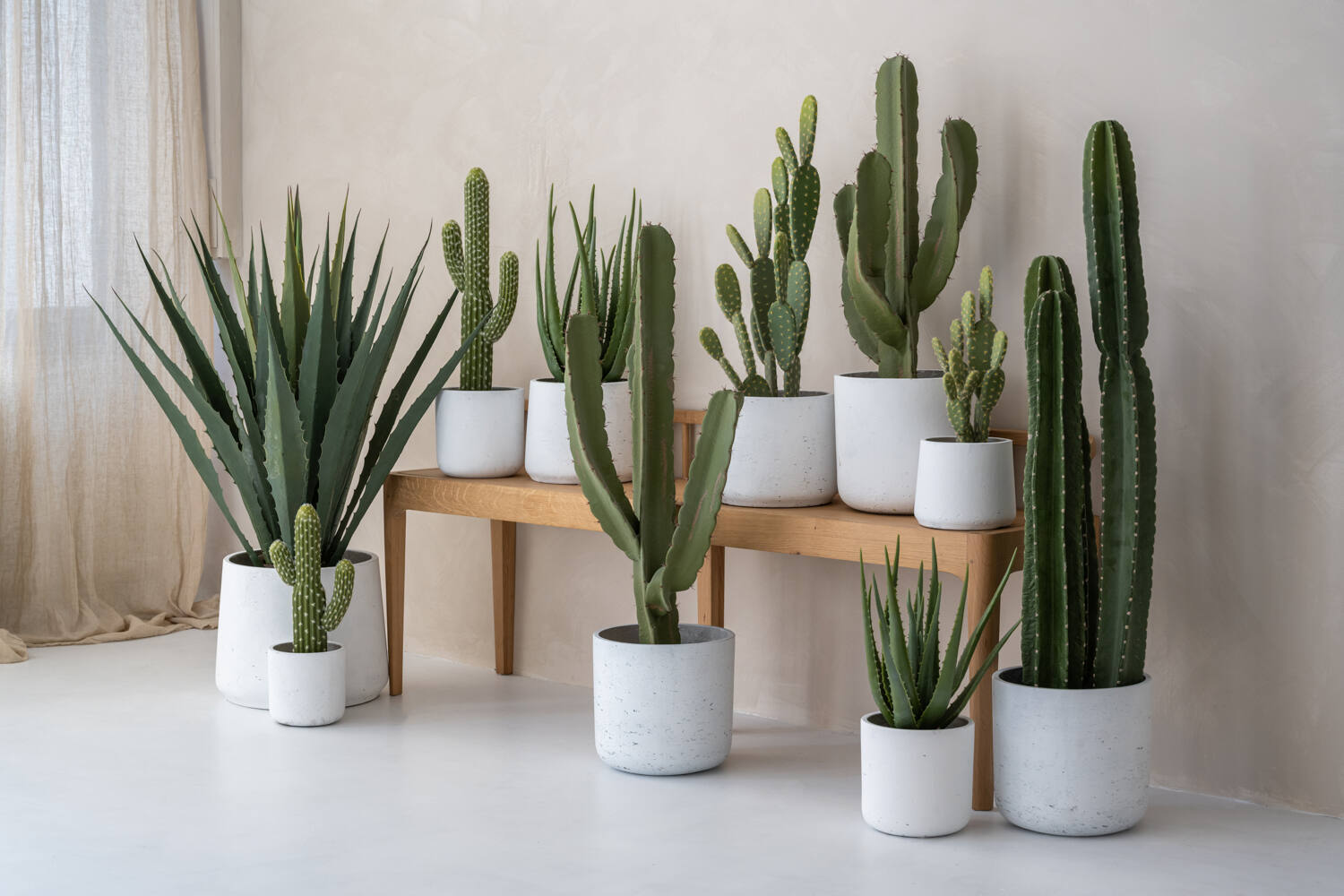 Pottery Pots - Nepplanten Cactus Saguaro M, Groen