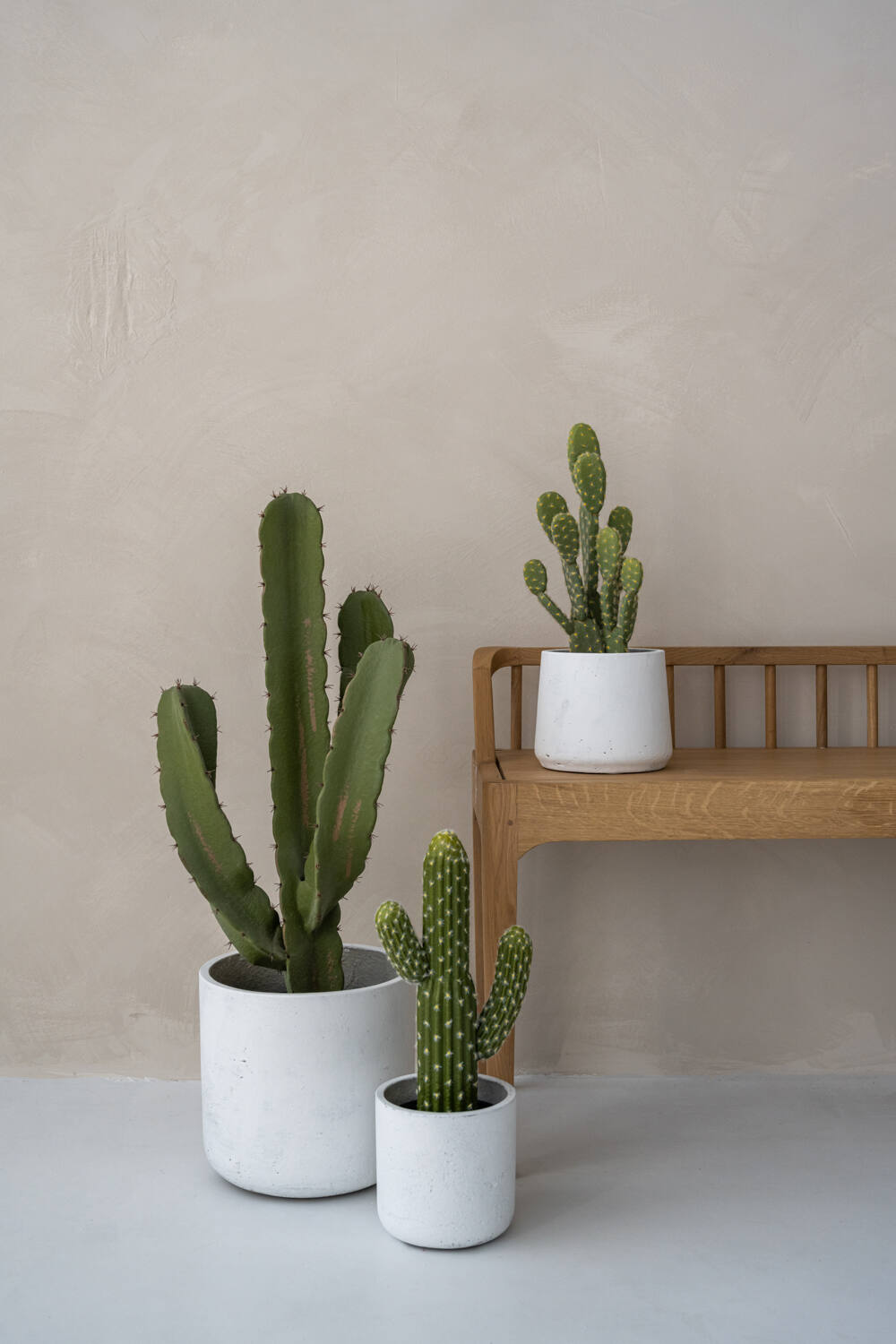 Pottery Pots - Nepplanten Cactus Opuntia M, Groen