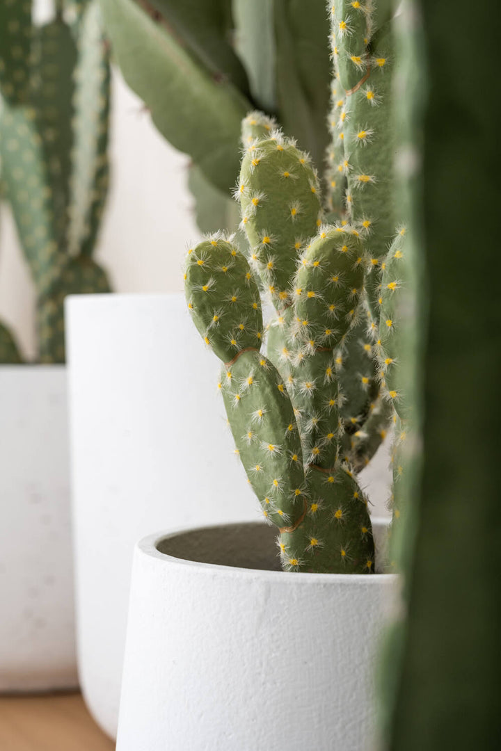 Pottery Pots - Nepplanten Cactus Opuntia M, Groen