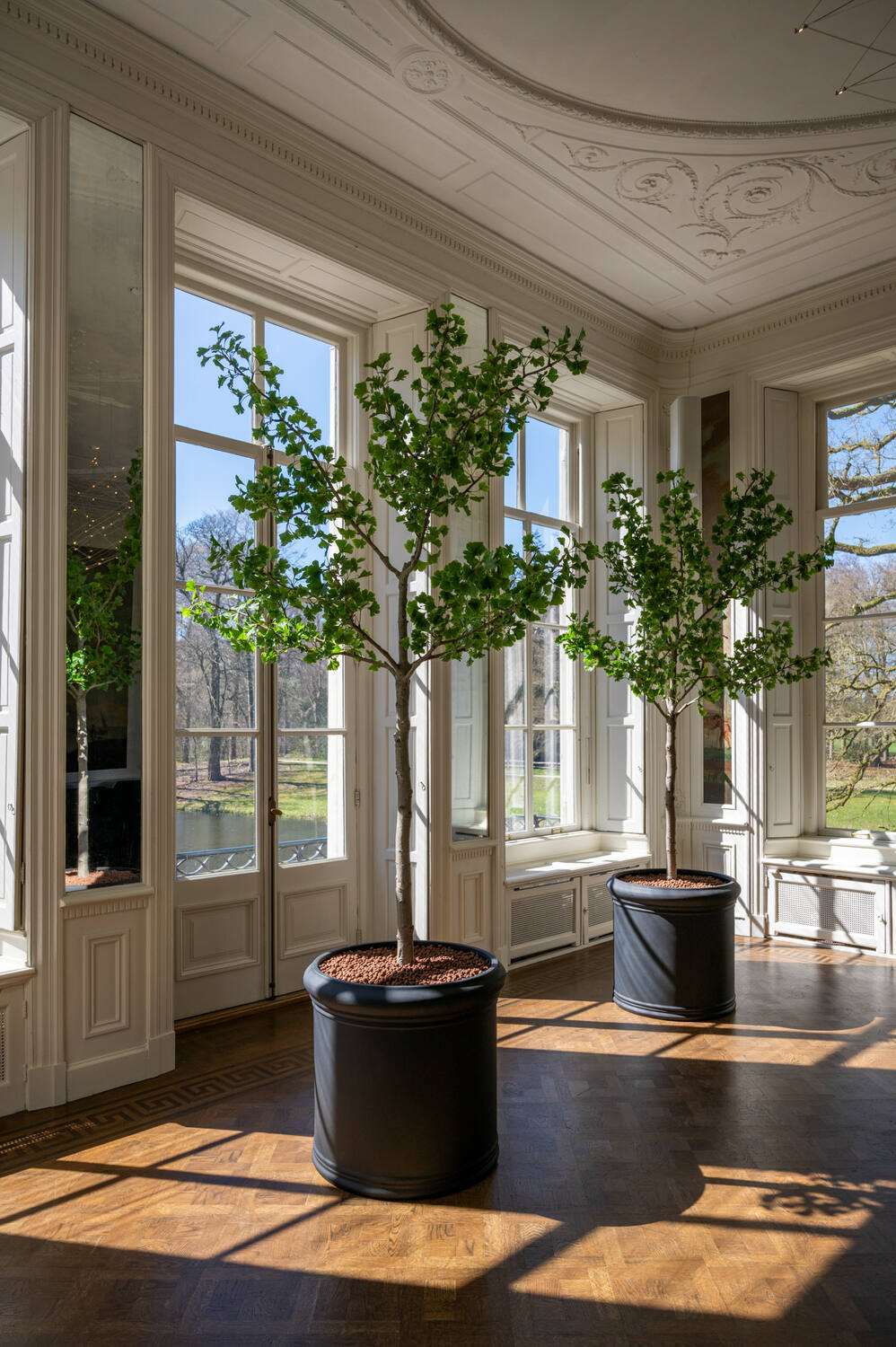 Pottery Pots - Nepplanten Ginko Biloba Tree XL, Groen