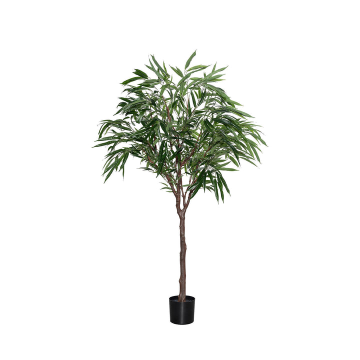 Pottery Pots - Nepplanten Ficus Alii Tree L, Groen