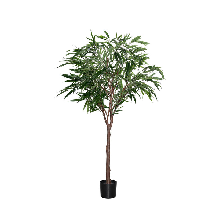 Pottery Pots - Nepplanten Ficus Alii Tree L, Groen