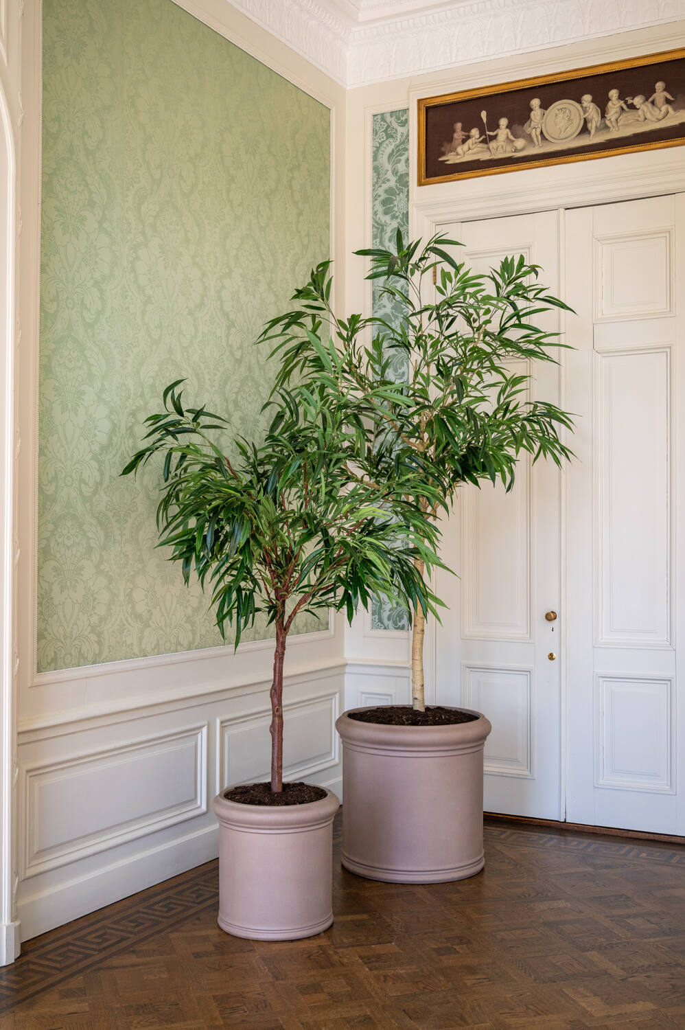 Pottery Pots - Nepplanten Ficus Alii Tree L, Groen