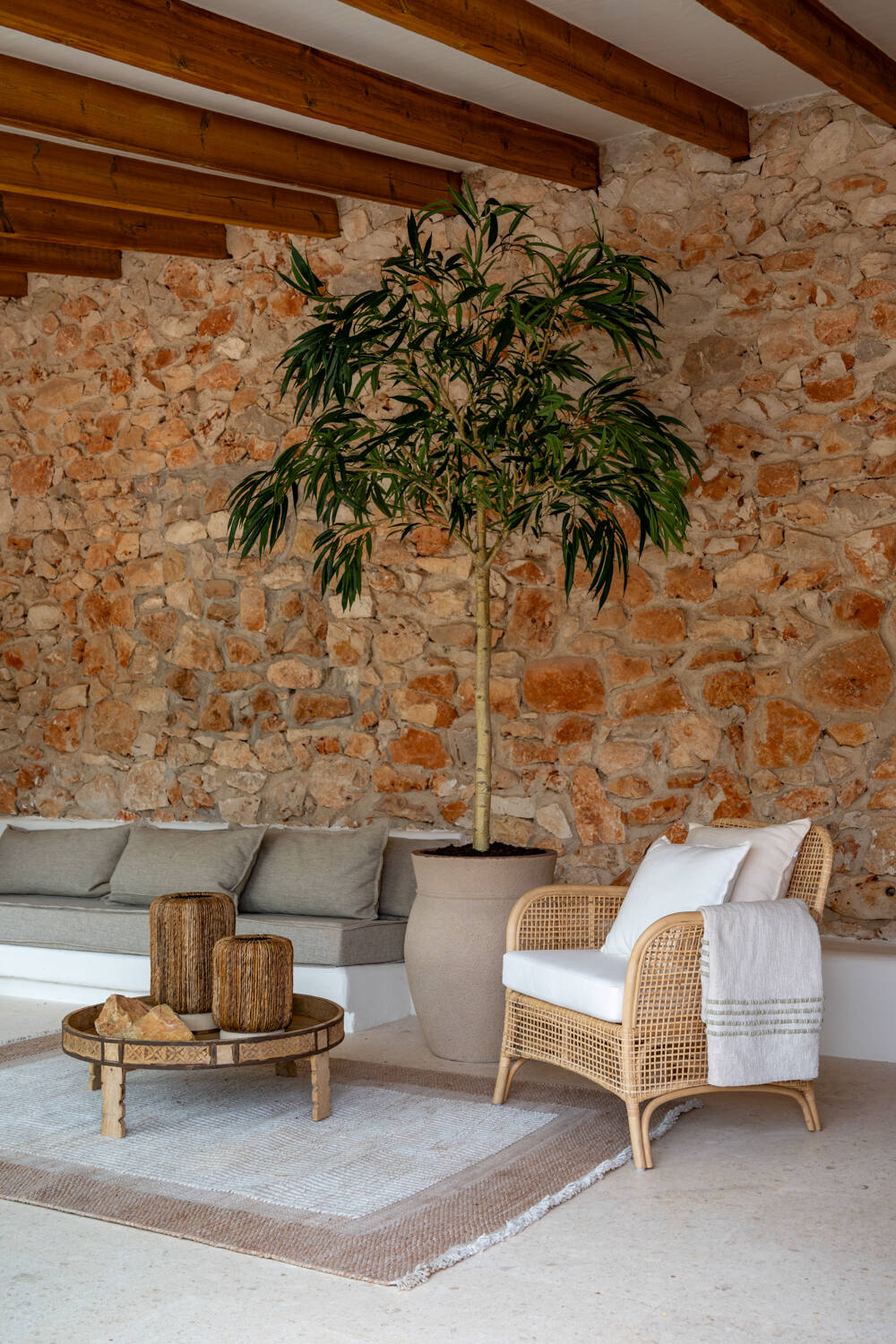 Pottery Pots - Nepplanten Ficus Alii Tree XL, Groen
