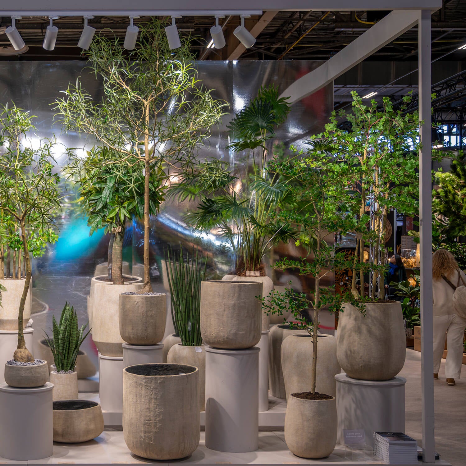 Pottery Pots - Nepplanten Sansevieria Cylindrica M, Groen