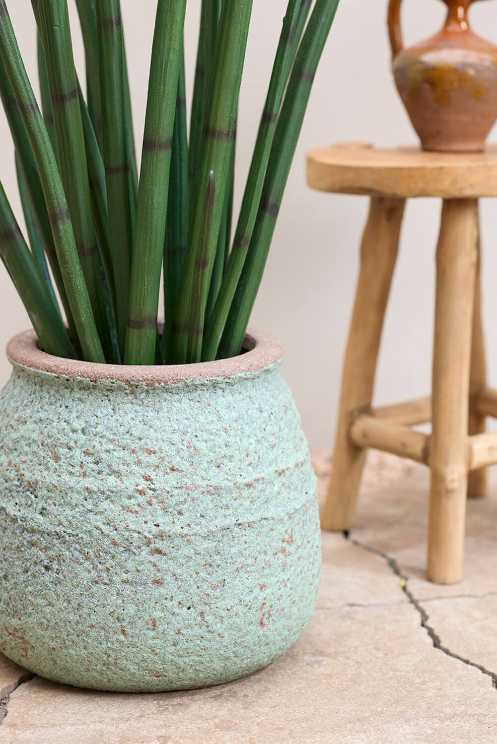 Pottery Pots - Nepplanten Sansevieria Cylindrica L, Groen