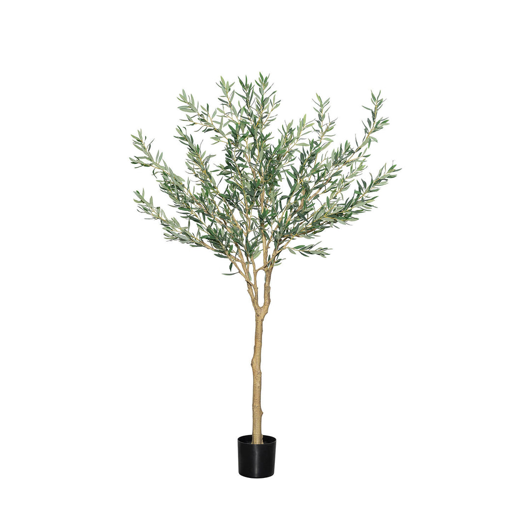 Pottery Pots - Nepplanten Olea Europaea Tree L, Groen
