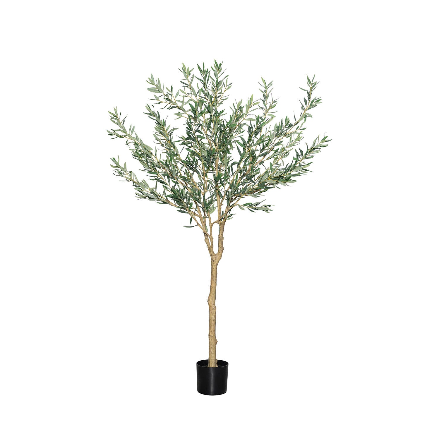 Pottery Pots - Nepplanten Olea Europaea Tree L, Groen