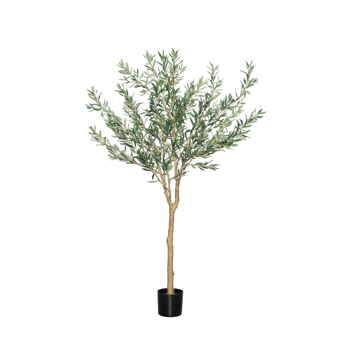 Pottery Pots - Nepplanten Olea Europaea Tree L, Groen