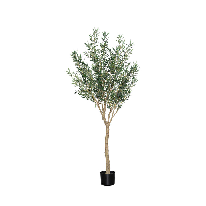 Pottery Pots - Nepplanten Olea Europaea Tree XL, Groen