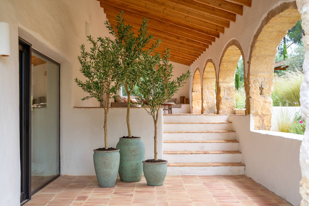 Pottery Pots - Nepplanten Olea Europaea Tree XL, Groen