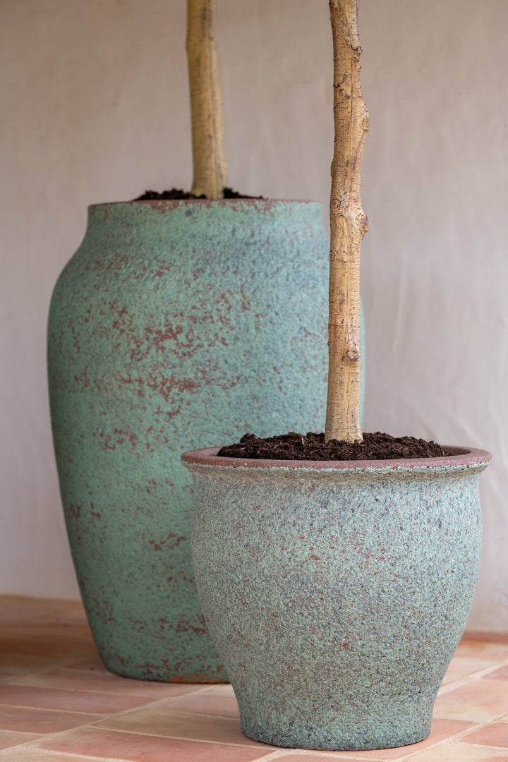 Pottery Pots - Nepplanten Olea Europaea Tree XL, Groen