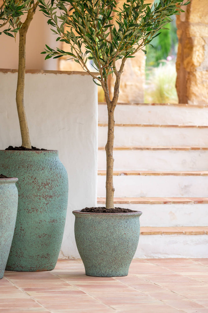Pottery Pots - Nepplanten Olea Europaea Tree XL, Groen