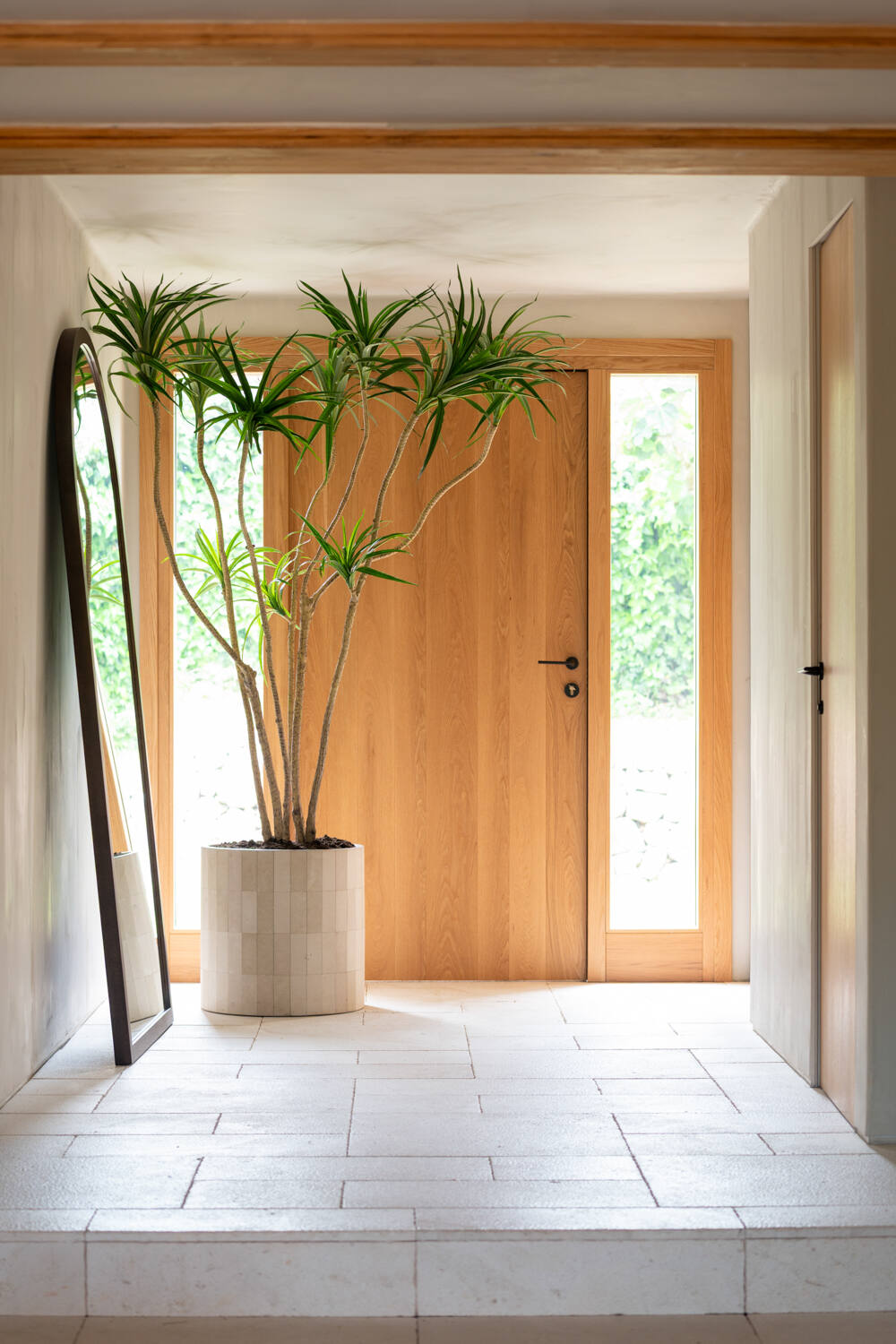 Pottery Pots - Nepplanten Dracaena Marginata XL, Groen