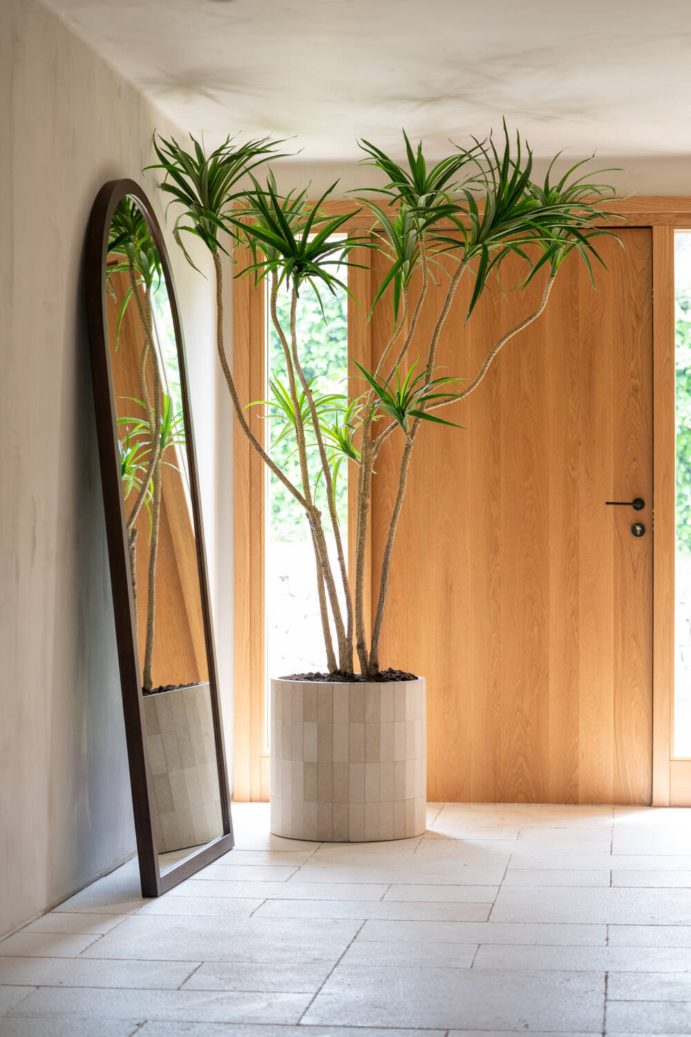 Pottery Pots - Nepplanten Dracaena Marginata XL, Groen