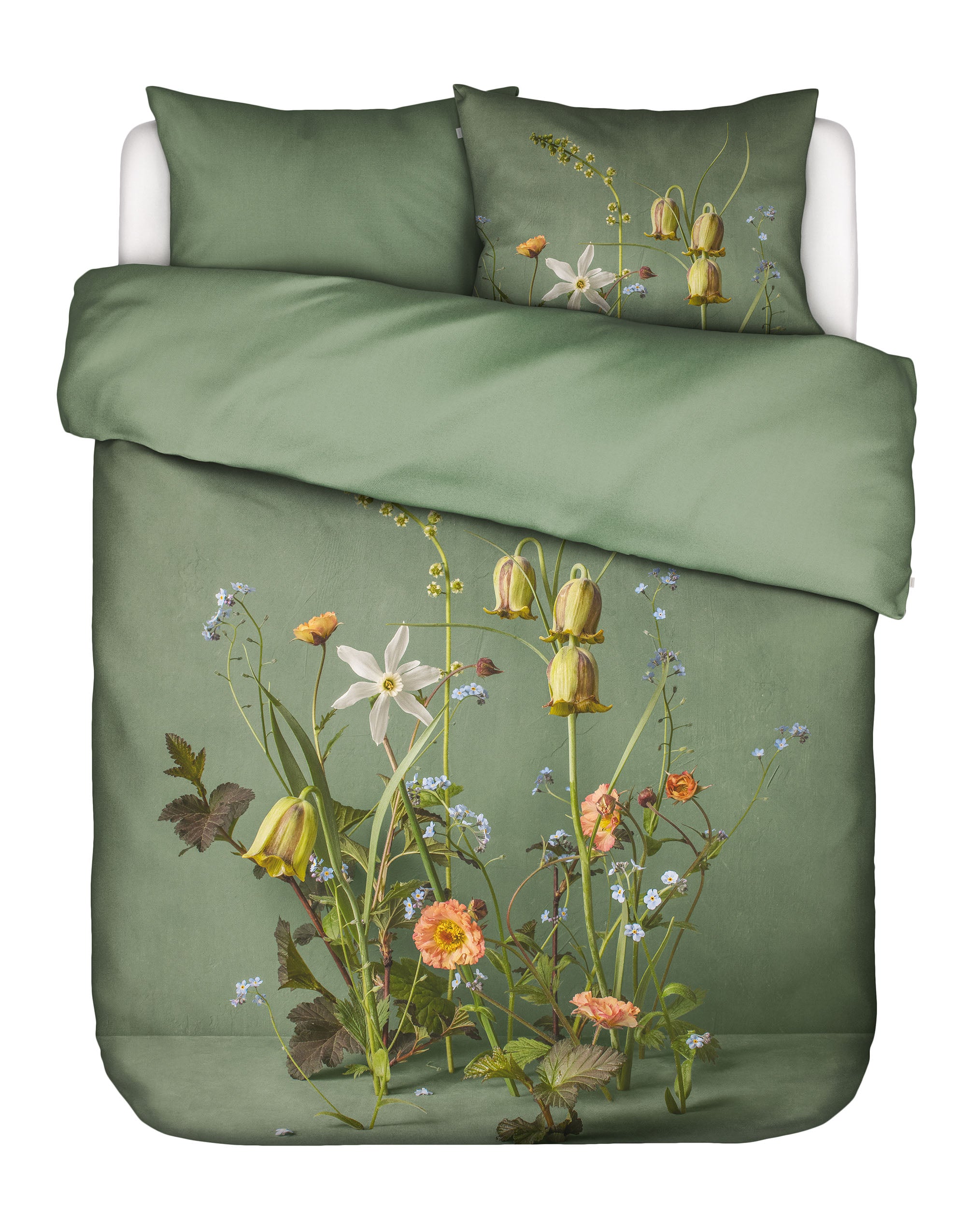 Ficaria Dekbedovertrek - 2p set 200x220+2/60x70