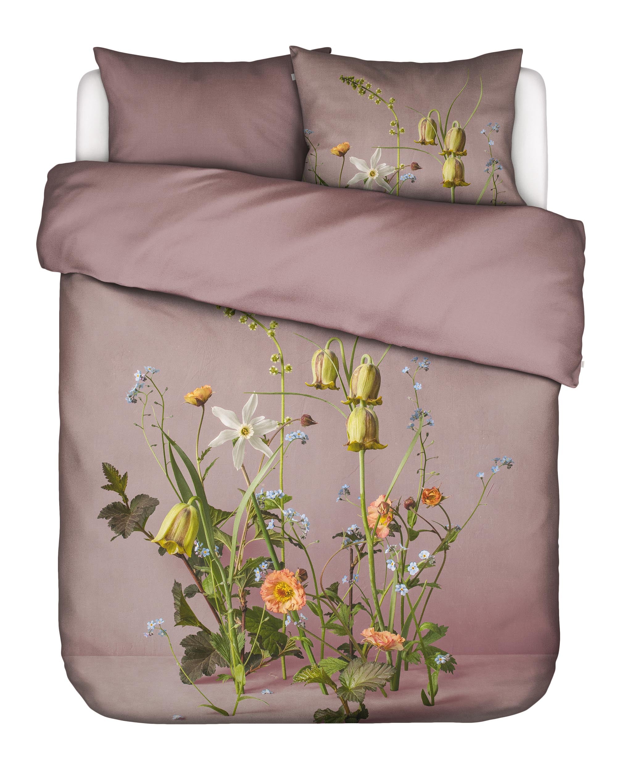 Ficaria Dekbedovertrek - 2p set 200x220+2/60x70