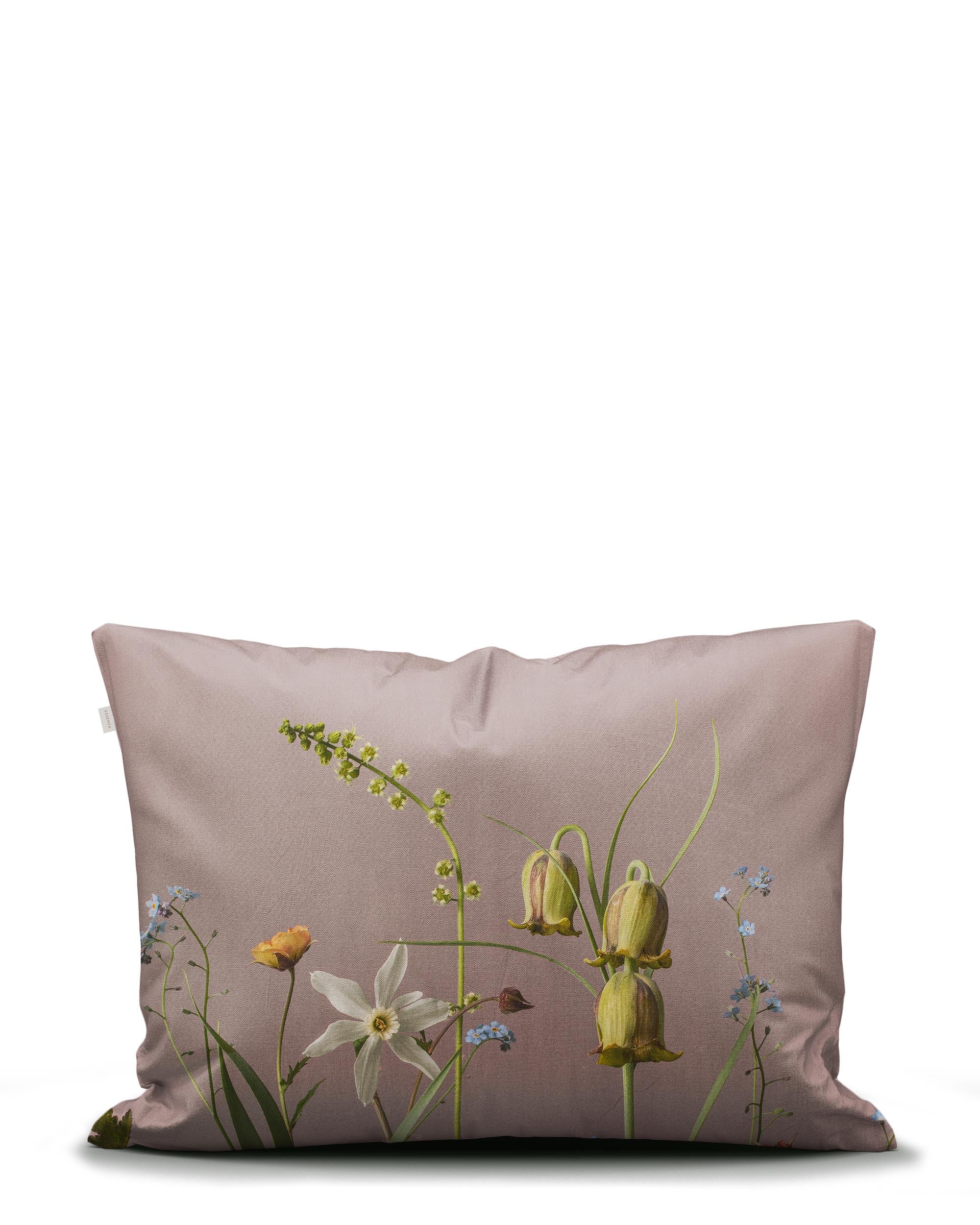 Ficaria Kussensloop - 60x70