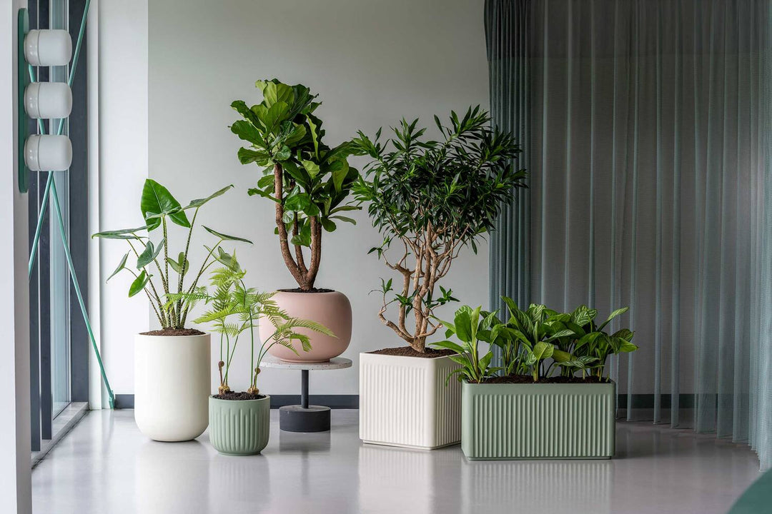 Pottery Pots - Bloempot Jort Linea M, Saliegroen
