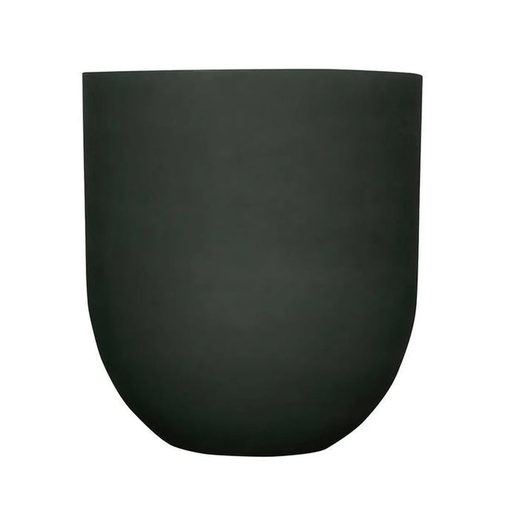 Jumbo Lex M, Groen
