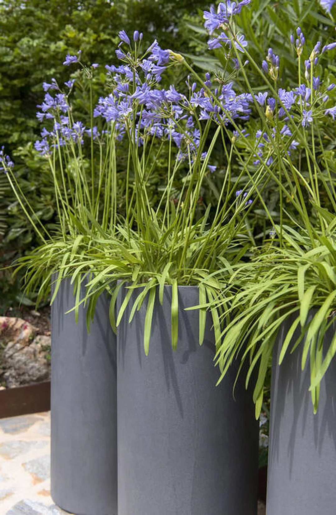 Klax L, Grijs